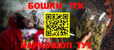 шишки Кандалакша