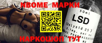 шишки Кандалакша