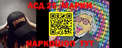 шишки Кандалакша