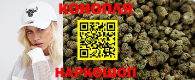 шишки Кандалакша