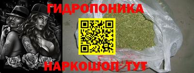шишки Кандалакша