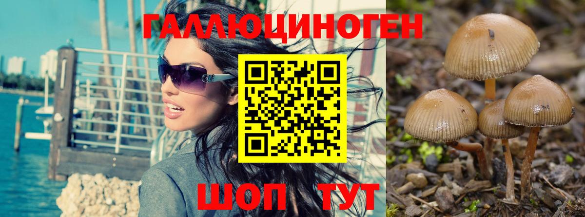 Галлюциногенные грибы ЛСД Лабинск