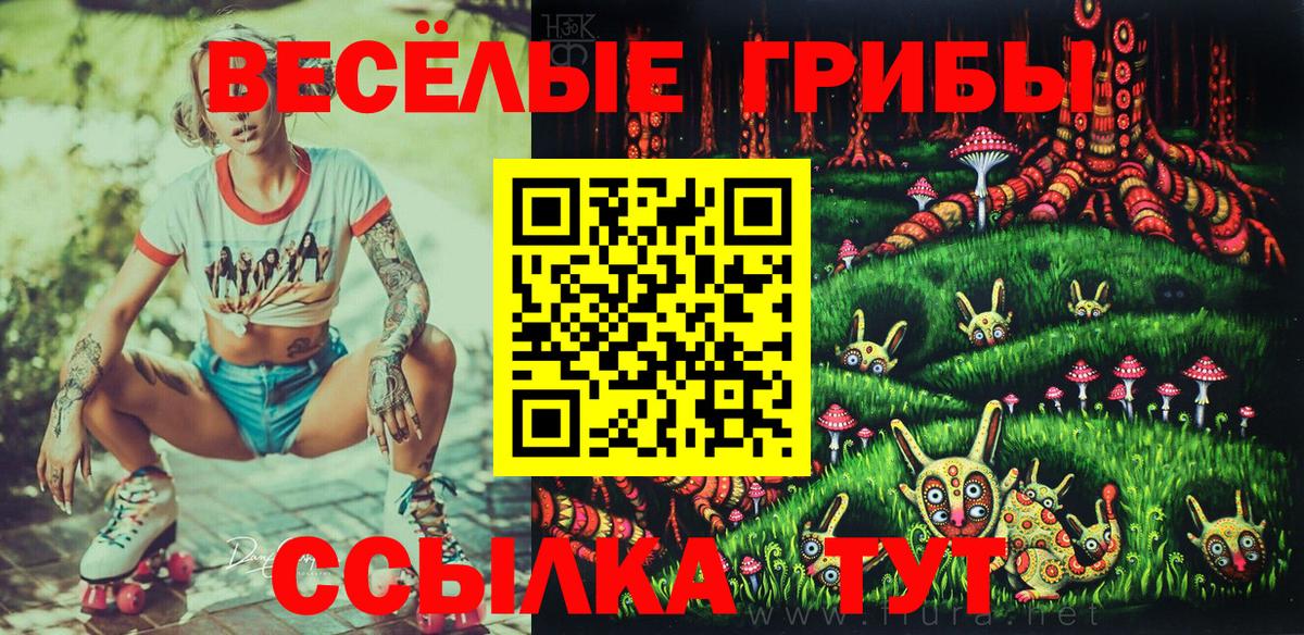 Псилоцибиновые грибы MAGIC MUSHROOMS  Псилоцибиновые грибы прущие грибы  Лабинск  Вход с VPN 